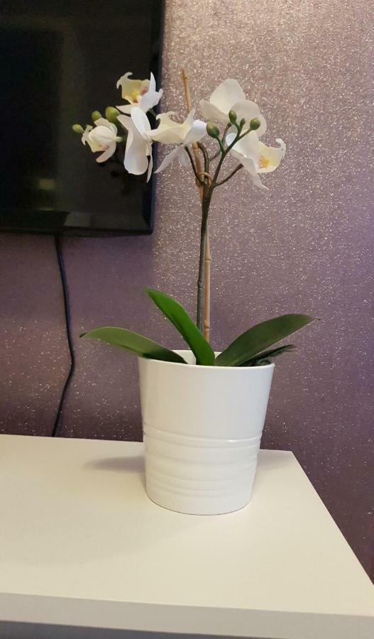 קרקוב Apartment Glamour Downtown Balcony מראה חיצוני תמונה